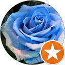 Image Google de Zineb Benkerroum