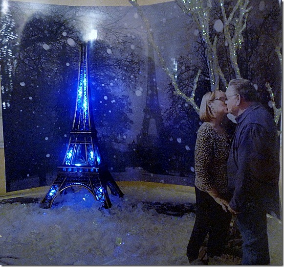 Paris Snow globe 016 (800x588)