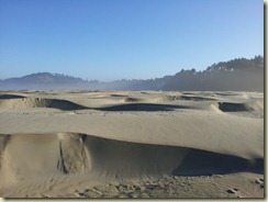 Agate Beach (2)