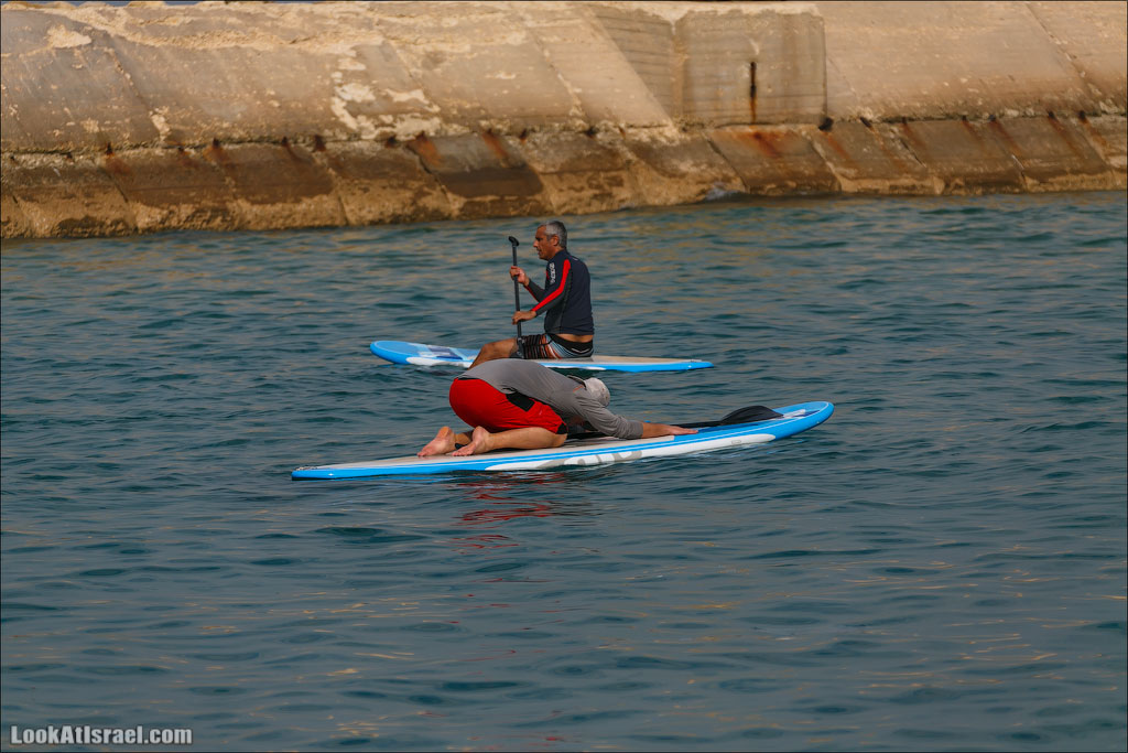 LookAtIsrael.com - Фото путешествия по Израилю | Занятия йогой в море в Тель Авиве | Yoga in Tel Aviv