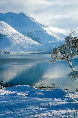 Nature-iphone-wallpaper