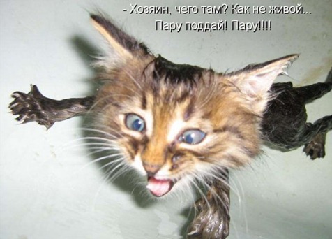 [1275829322_kotomatrix_031%255B3%255D.jpg]