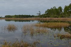 along the highway to Mt Dora