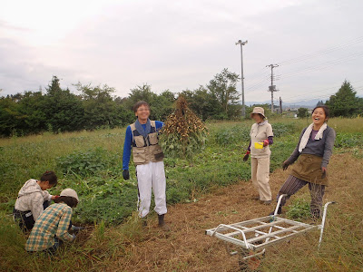 [最も人気のある！] 落花生 畑 254491-落花生 畑にまく