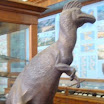 phoca_thumb_l_DSC01819.JPG