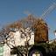 Paryż - Montmartre