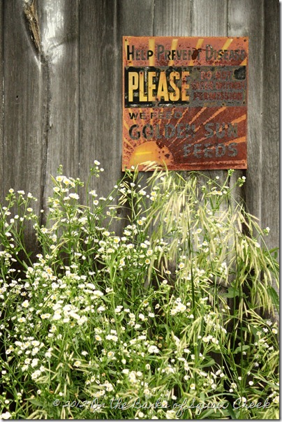 old rusty "prevent disease" sign