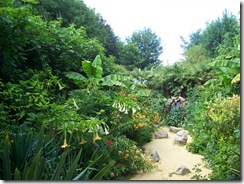 2012.08.01-002 jardin exotique