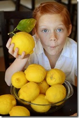 Lemons2