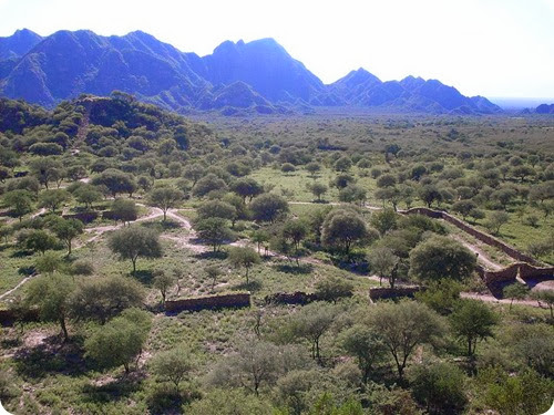 Shincal del Quimivil1 Shincal del Quimivil1