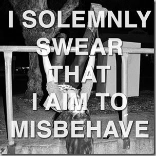 solemnly swear-misbehave