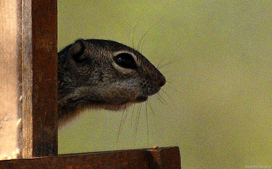 [DSC_1753%255B10%255D.jpg]