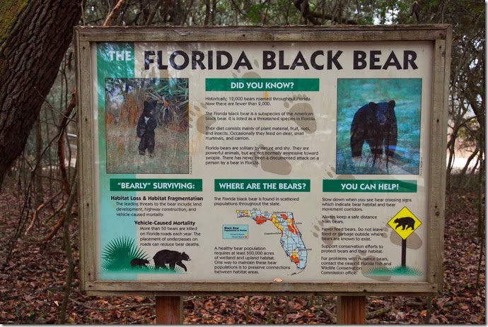 Bear Sign