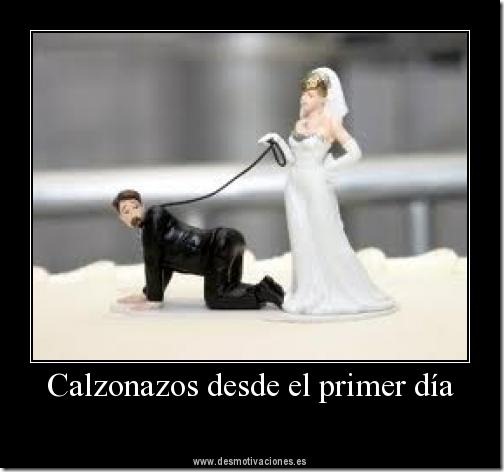 calzonazos (21) calzonazos (21)