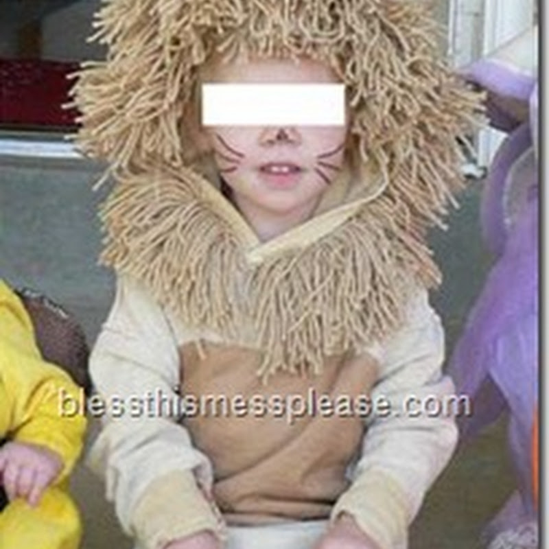 Disfraz casero de león para niño, muy fácil