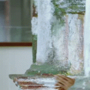 Charan-16.gif