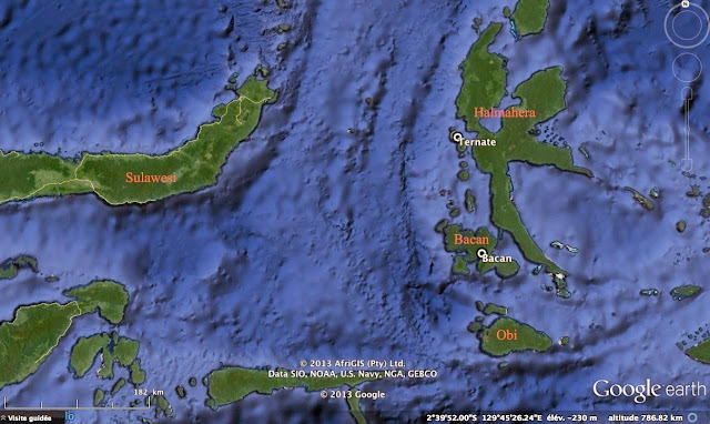 Les Moluques : Ternate, Halmahera, Bacan et Obi