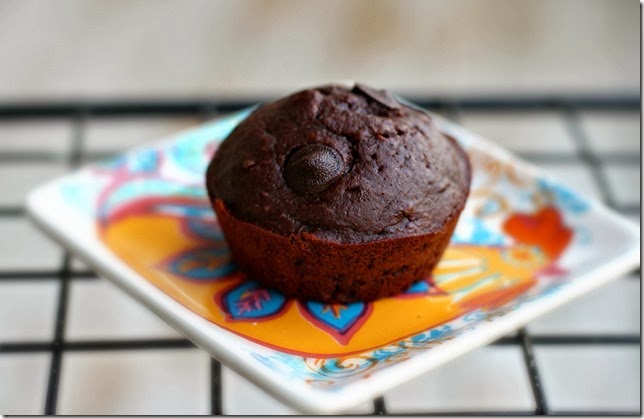 Double Chocolate Chip Muffins3
