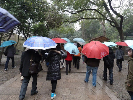 Ploaie in Suzhou