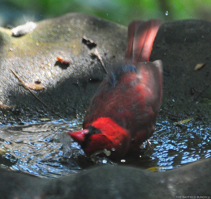 [DSC_0006-001%255B4%255D.jpg]