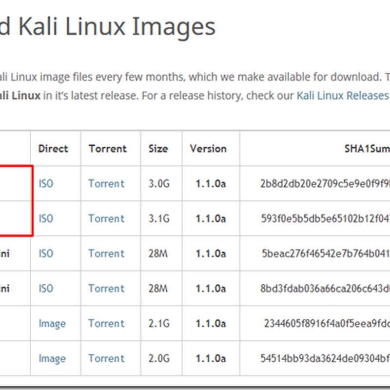 Complete Guide On How To Install Kali Linux In VMware Player