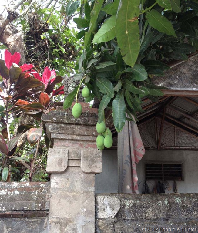 [bali3%2520010%255B5%255D.jpg]