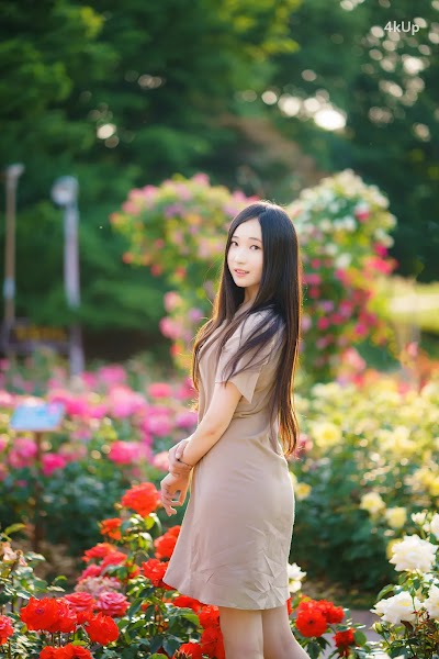 Bambi (밤비) Lacerta Photography