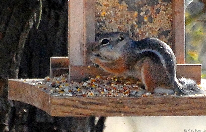 [DSC_2655%255B3%255D.jpg]