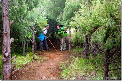 7959 Circular a Firgas R3-Pico del Rayo) 7959 Circular a Firgas R3-Pico del Rayo)