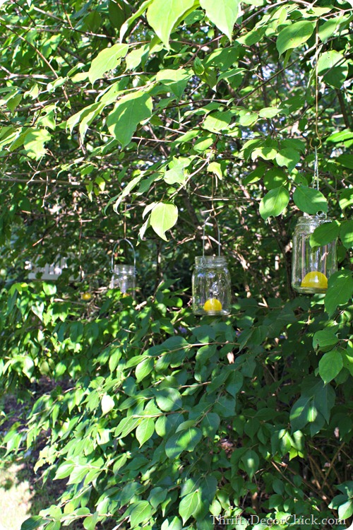 mason jar lanterns in trees