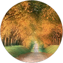 Debby Walker profile picture