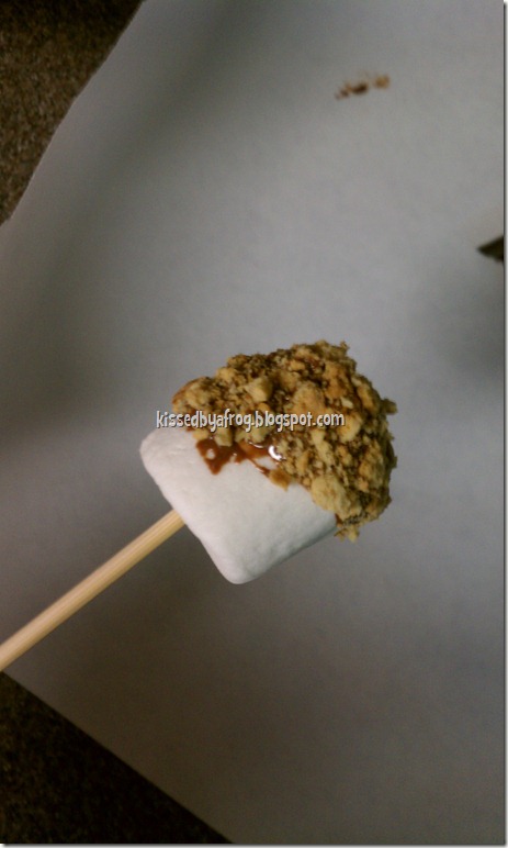 Smore's Dipped