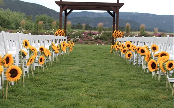 b4ed1a11bf71040e6c58fc3334d4dafb