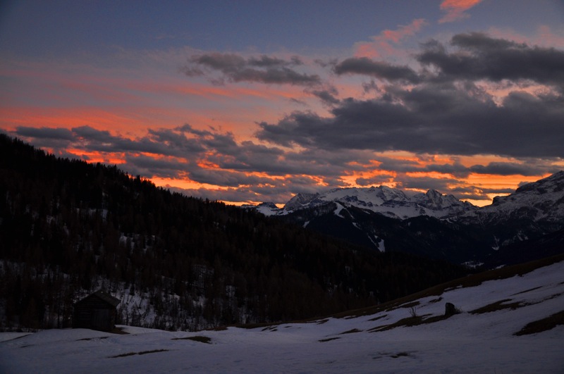 DSC_8319.JPG DSC 8319