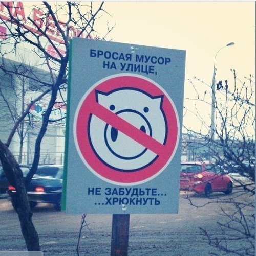 [5956455-R3L8T8D-500-pig%255B3%255D.jpg]