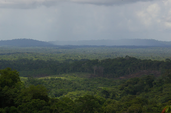 Paysage près de Cacao (Guyane). 23 novembre 2011. Photo : J.-M. Gayman