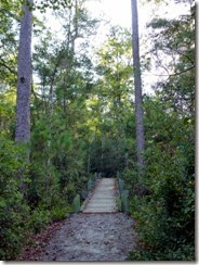 Foot bridge on the trail