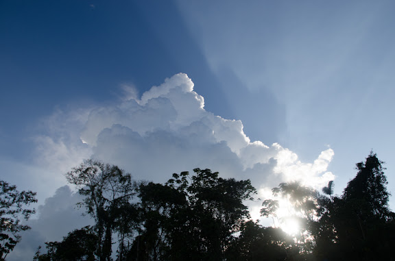 L'orage approche. Entre Rurrenabaque et la Reserva de Biosfera de Pilón Lajas, 28 octobre 2012. Photo : C. Basset