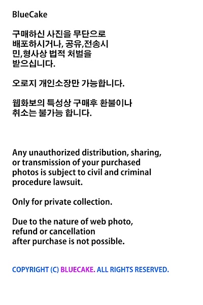 [BLUECAKE] Kang Seonhye (강선혜) Vol.01 Volume Up