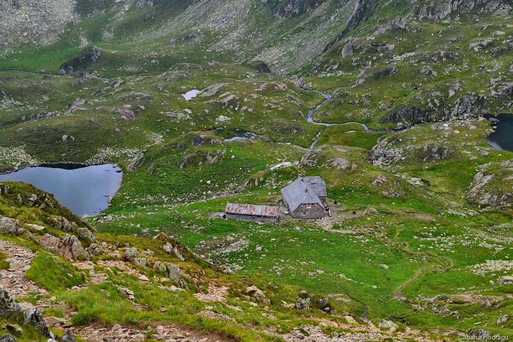 [DSC_386915.jpg]