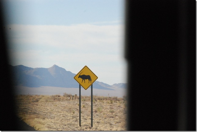 04-06-13 B Trinity Site (5)