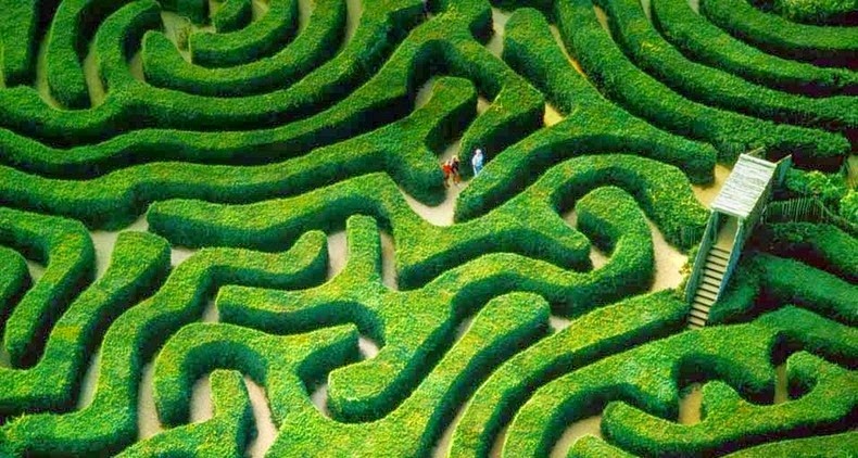 longleat-hedge-maze-2