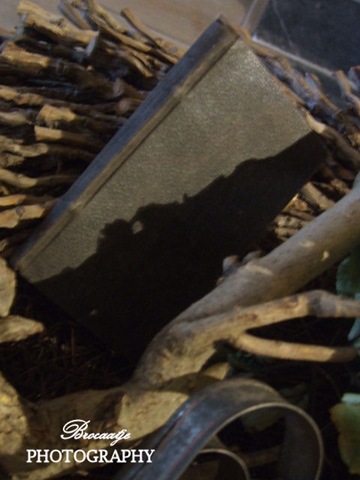 [20120205_23%255B5%255D.jpg]