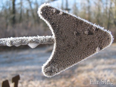 Frosty Weather Vane