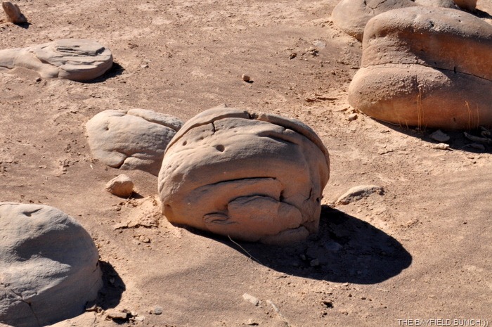 [DSC_0074%255B3%255D.jpg]