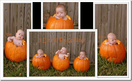 triplet pumpkin collage