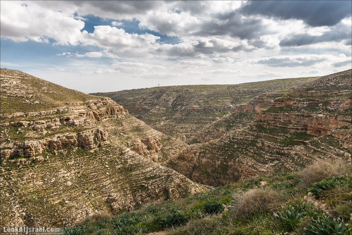 LookAtIsrael.com - Ущелья Харитона и Суккийская лавра в ущелье Ткоа | Wadi Tekoa and Hariton Cave | נחל תקוע מערת חריטון