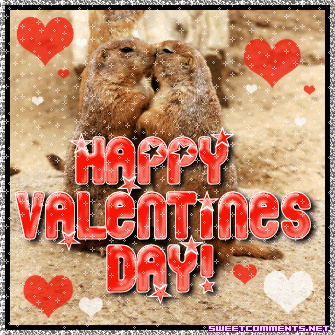 beso de ardillas (3)