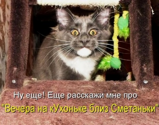 [1354871658_kotomau3%255B5%255D.jpg]