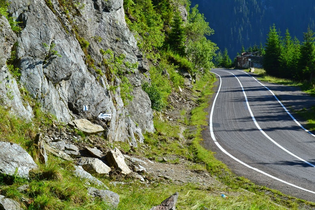 [DSC_24283.jpg]